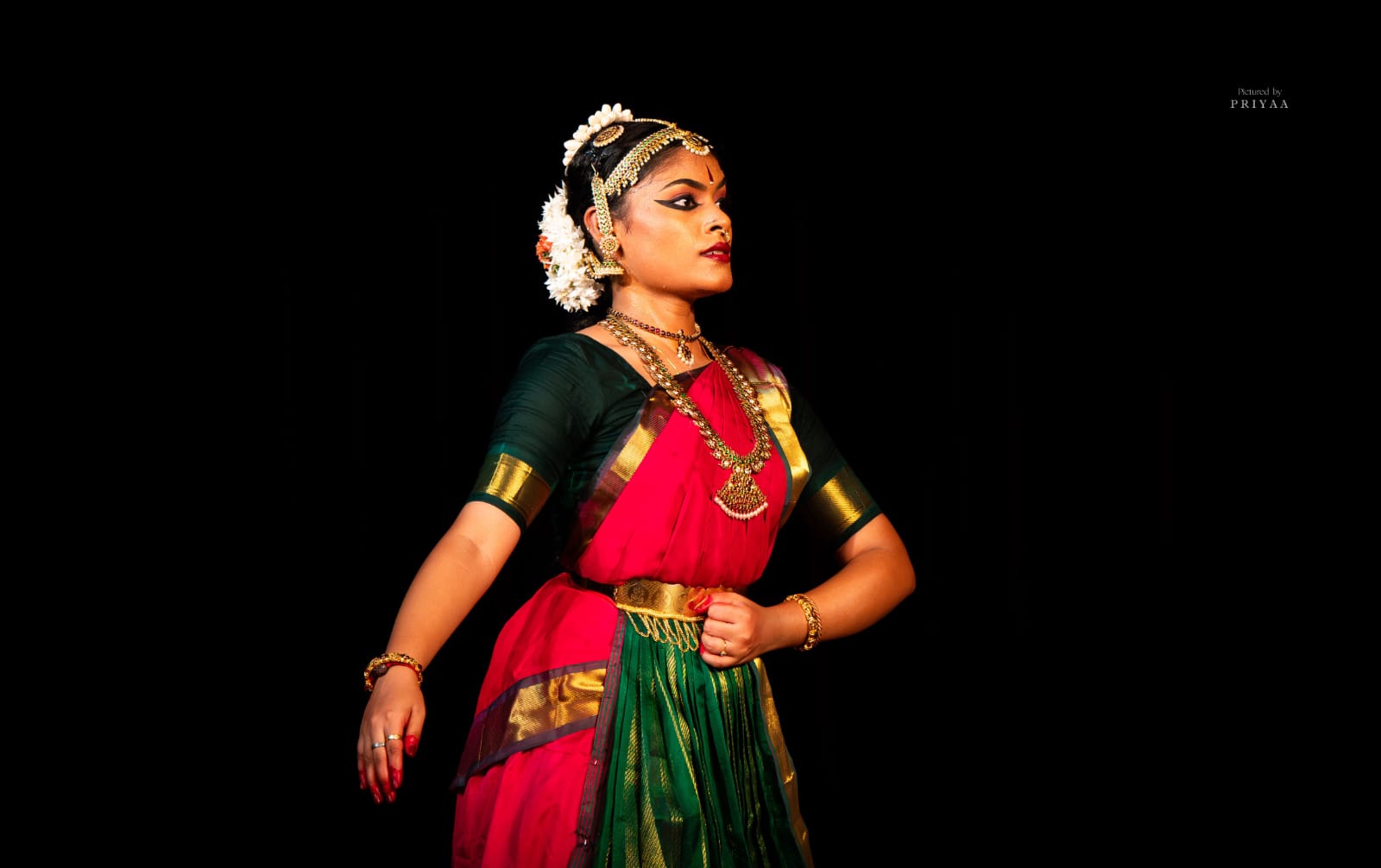 Bharatanatyam dancer in profile, close-up on costume and jewelry